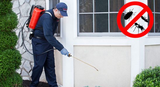 Payas Akrep İlaçlama böcek ilaçlama ve haşere kontrolü — ilaclama-tr.com